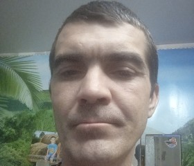 Владимир, 39 лет, Змиевка