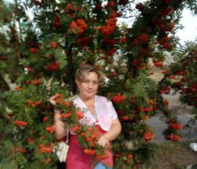 Алена, 42 года, Свердловськ