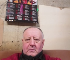 Сергей, 66 лет, Тула