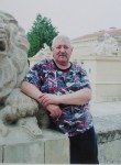 Анатолий, 71 год, Архангельск