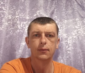 Serzh, 42 года, Западная Двина