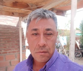 Ernesto, 43, San Antonio Oeste