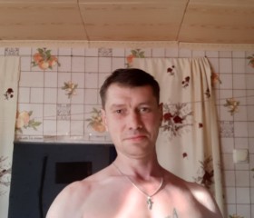 Андрей, 44 года, Елань