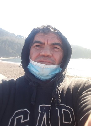 Aĺejandro, 59, República de Chile, Curicó