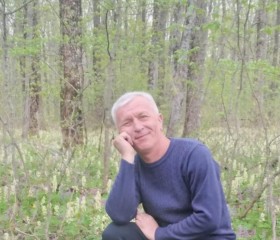 Владимир, 65 лет, Таловая