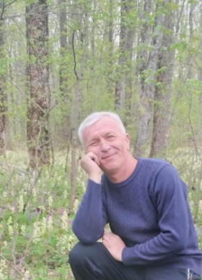 Владимир, 65, Россия, Таловая