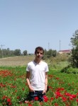 ארז קדוש, 22 года, תל אביב-יפו