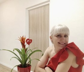 Таня, 41 год, Vyškov