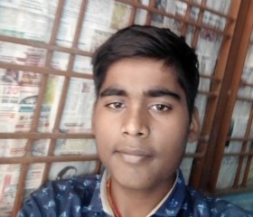 Kartik kushwah, 21 год, Indore