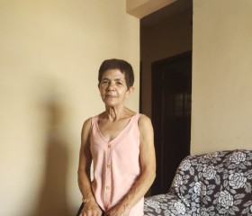 Isabel Oliveira, 62 года, Santos Dumont