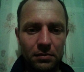 Алексей, 38 лет, Голышманово