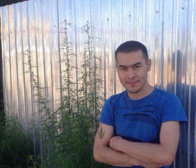 Дамир, 35 лет, Алматы