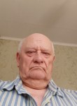 Владимир, 62 года, Джанкой