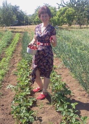 Татьяна, 55, Россия, Керчь