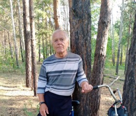 Владимир, 69 лет, Копейск