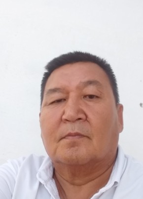Рисбек, 56, Қазақстан, Түркістан