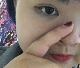 胡萝卜, 23, Nanchong