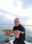 Maksim, 55  , Cislago