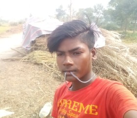 Dhananjay, 21 год, Barauli