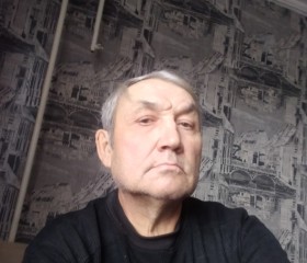 Владимир, 63 года, Юрла