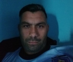 Si, 31, Constitucion