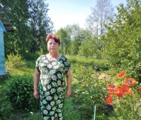 Светлана, 60 лет, Мирный (Архангельская обл.)