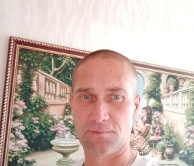 Сергей , 42 года, Коряжма