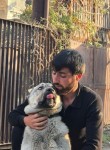 DAVO, 27, Moscow