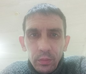 Дмитрий, 43 года, Сельцо