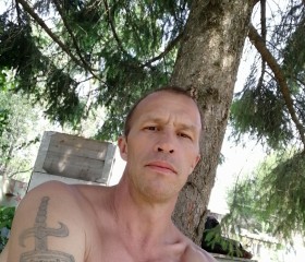 Олег, 42 года, Екатеринбург