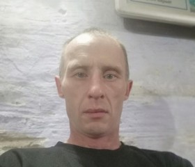 Александр Шавлов, 44 года, Ирбит