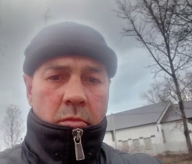 Руслан Королев, 49 лет, Чудово