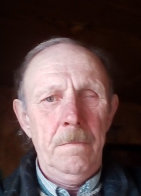 Миша, 65, Россия, Бежаницы