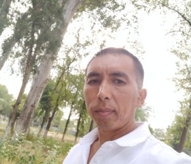 Aybek (Alik), 43, Moscow