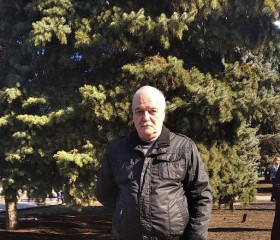 Александр, 70 лет, Горлівка