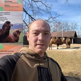 Ahmed, 37  , Burbank (State of Illinois)