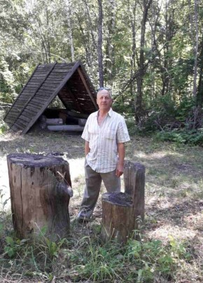 Вячеслав, 64, Россия, Сызрань