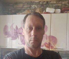 Михаил, 48 лет, Александров