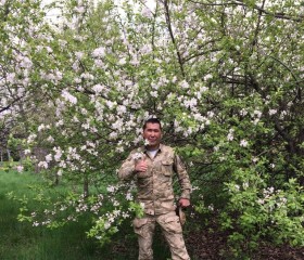 Болат Нуркасым, 42 года, Алматы