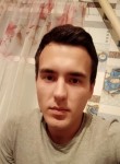 Алексей Митрохин, 28 лет, Саратов