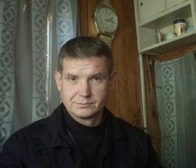 Денис, 44 года, Коркино