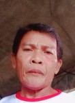 Martin Monteherm, 59 лет, Lungsod ng Bacolod