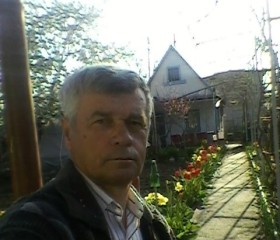 Николай, 73 года, Васильків