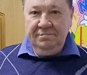 Петр, 64 года, Ульяновск
