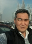 Асхат, 48 лет, Алматы