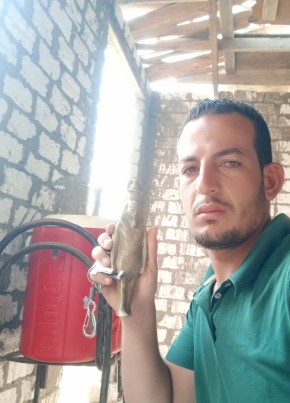 حسن, 30, Egypt, Cairo