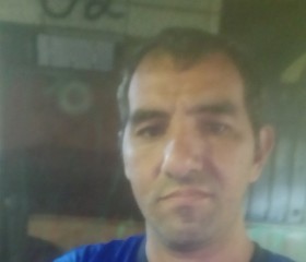 Carlos marciano, 42 года, São Paulo capital