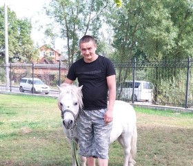 Тимур, 36 лет, Москва