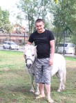 Тимур, 35 лет, Москва