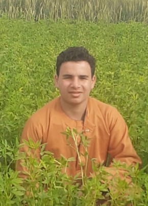 خالد, 18, جمهورية مصر العربية, القاهرة